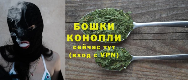 сатива Заводоуковск