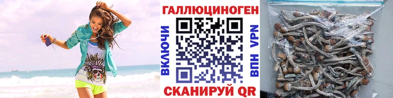 hydra tor Бологое Галлюциногенные грибы MAGIC MUSHROOMS